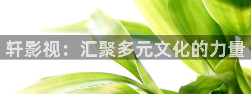 桃桃子：轩影视：汇聚多元文化的力量